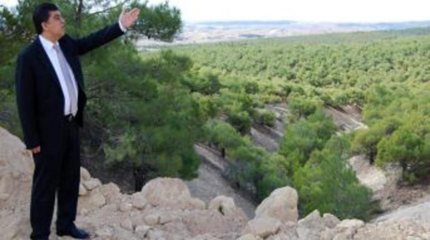 T&uuml;rkiye'nin En B&uuml;y&uuml;k Biyolojik G&ouml;leti Mayıs Ayında Hizmete Girecek