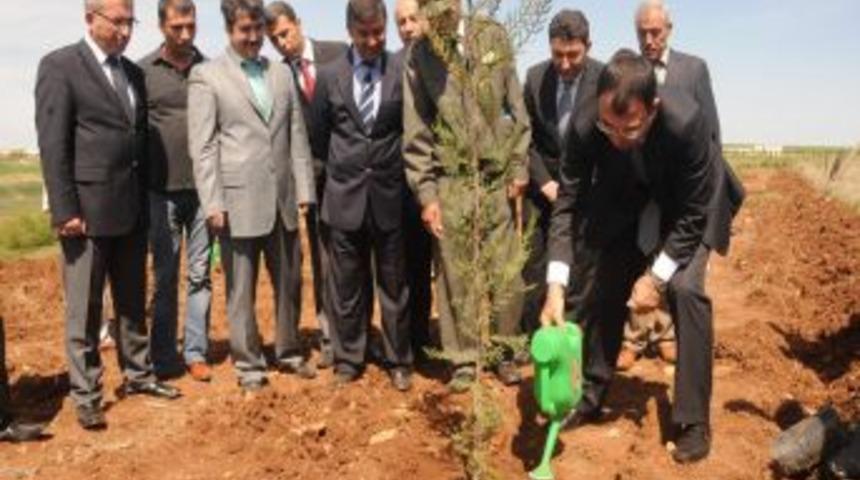 Vali Mustafa Toprak, D&uuml; Kamp&uuml;s&uuml;nde Fidan Dikti