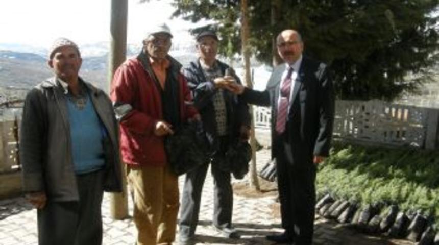 Sarıveliler Belediyesi 2 Bin Katran Fidanı Dağıttı