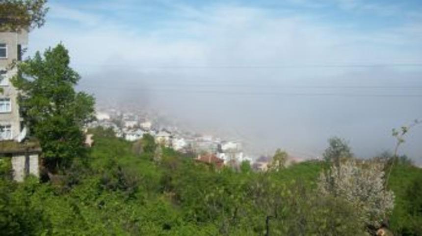 Trabzon ve Giresun'da yoğun sis