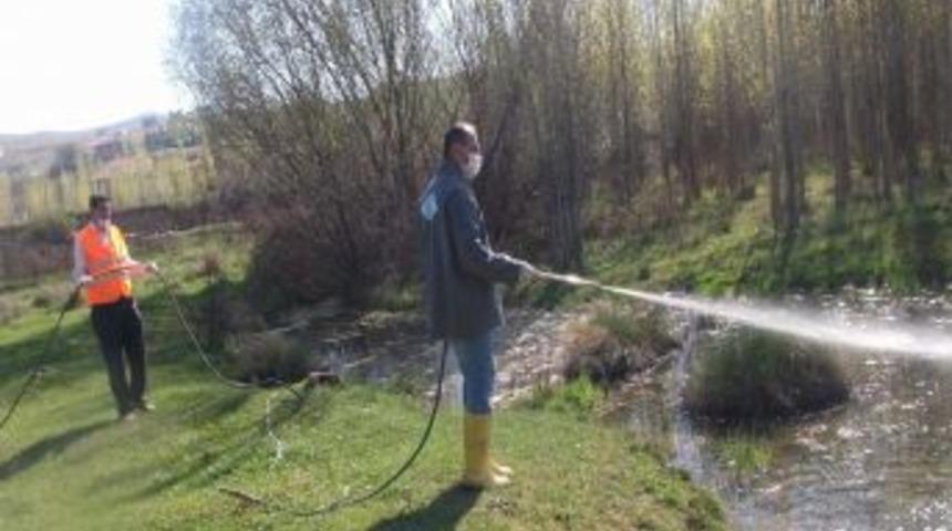 Larva İla&ccedil;lama &Ccedil;alışmaları Devam Ediyor