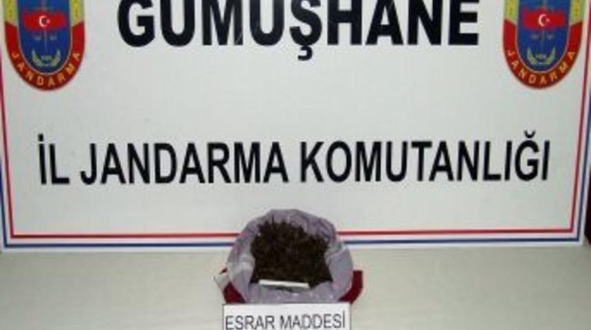 G&uuml;m&uuml;şhane'de Esrar Ele Ge&ccedil;irildi