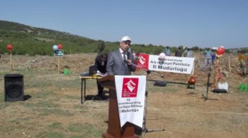 Kimsesiz &ccedil;ocuklar ağa&ccedil; dikti