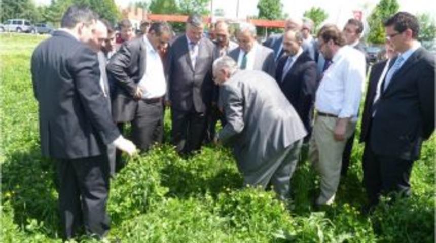 Sakarya'da Mera Islah &Ccedil;alışmaları