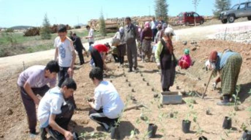 &Ouml;ğrenciler &Ccedil;ay Fidesi Dikti