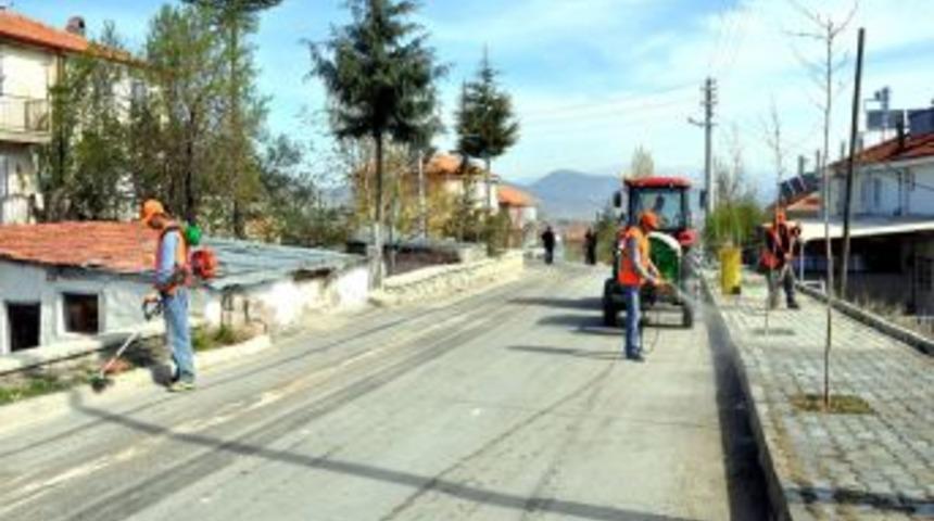 Belediyeden Bahar Temizliği