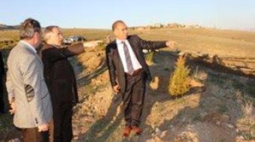 Fırat &Uuml;niversitesi Kamp&uuml;s&uuml; Yeşillendiriliyor