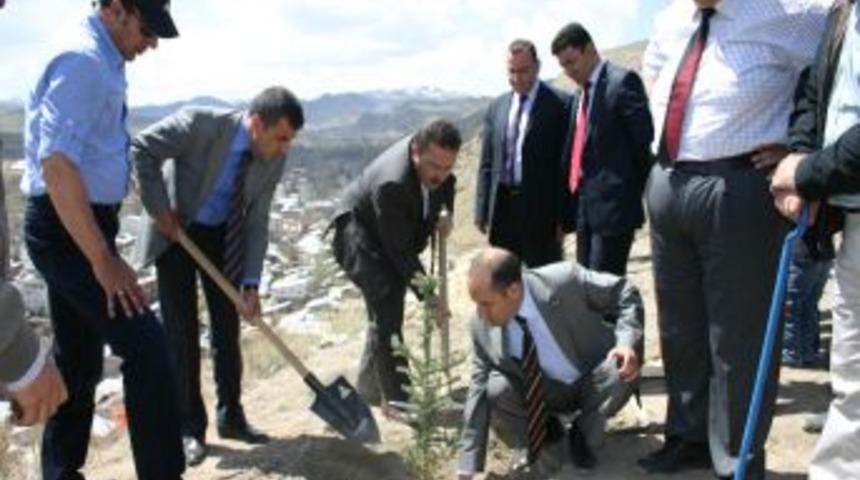 H&uuml;mmet Dağı, Ormana D&ouml;n&uuml;şecek