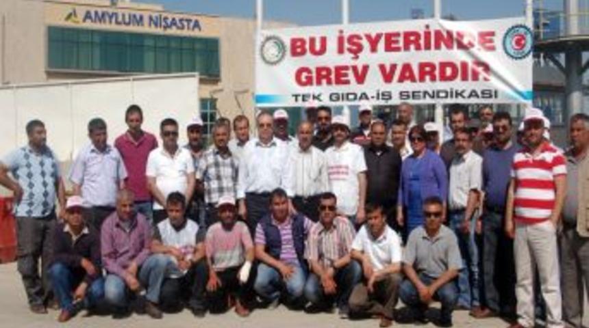 Amylum İşçilerinin Grevi