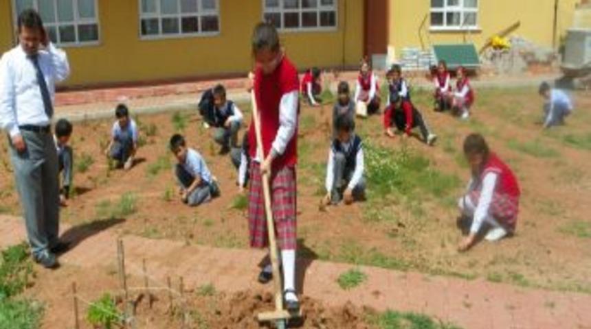 &Ouml;zel Kızılırmak İlk&ouml;ğretim Okulu &ouml;ğrencileri, uygulama bah&ccedil;esinde stres atıyor