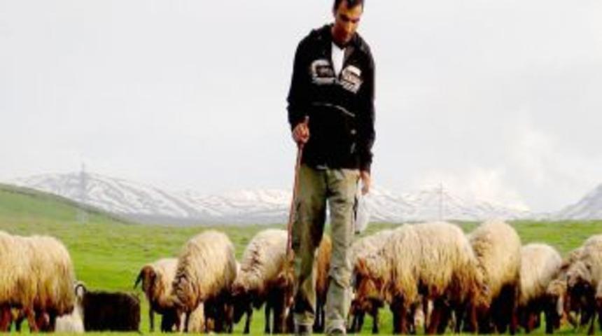 G&ouml;&ccedil;erler yaylara &ccedil;ıkmaya başladı