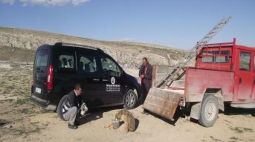 D&uuml;şt&uuml;ğ&uuml; Kuyudan &Ccedil;ıkarıldı