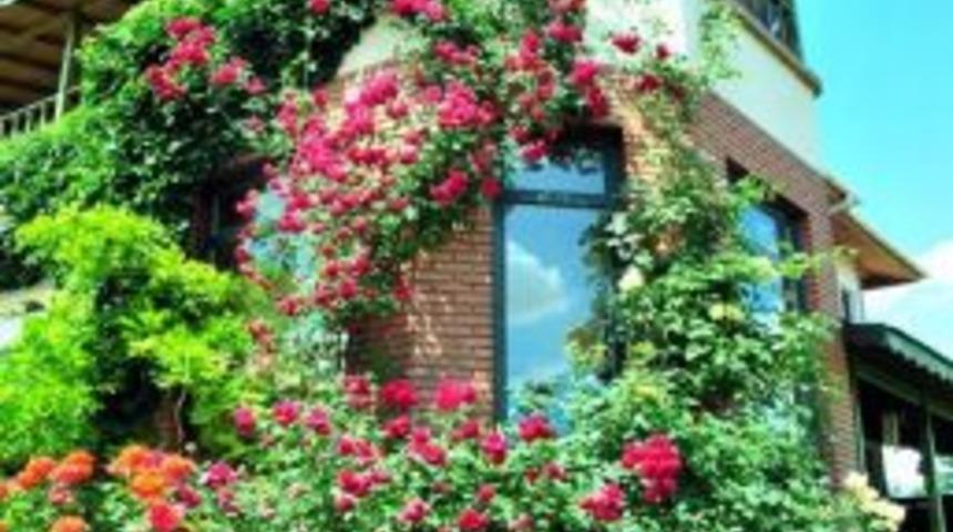 Tepebaşı İl&ccedil;esinde En G&uuml;zel Bah&ccedil;e, En G&uuml;zel Balkon Yarışması Başlıyor