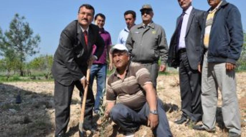 Erdemli'de Kurum Bah&ccedil;eleri Yeşeriyor