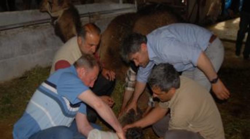 &Ccedil;evre Ve Şehircilik Bakanı Erdoğan Bayraktar: