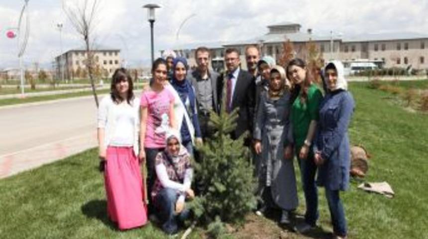 İbrahim &Ccedil;eten &Uuml;niversitesi &ouml;ğrencileri fidan dikti