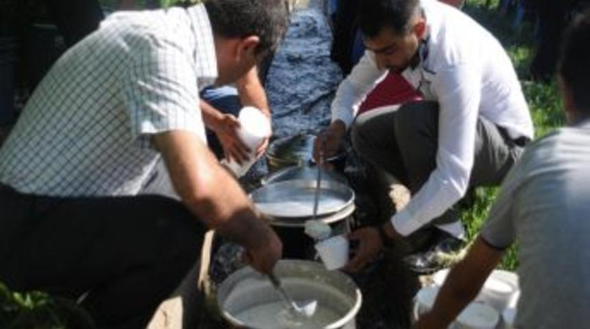 Silopi'de 'Nuh Nebi Sevgisi ile Yeninden Doğuş' etkinlikleri başladı