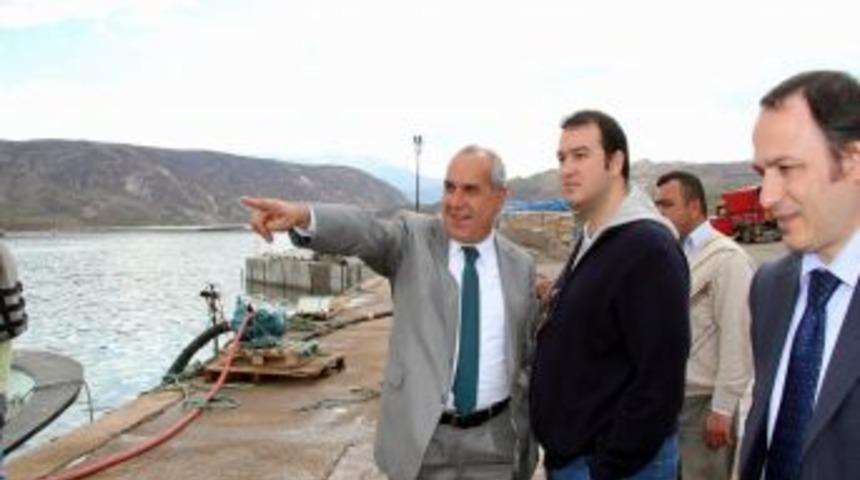 Suşehri Balık Sekt&ouml;r&uuml;nde İddialı