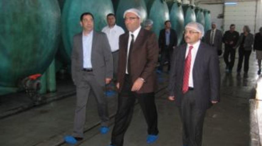 Kaymakam K&ouml;ten, gıda tesislerini inceledi