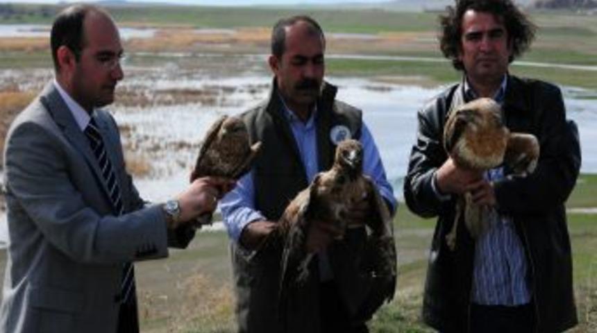 &Ouml;zg&uuml;rl&uuml;ğe İlk Kanat