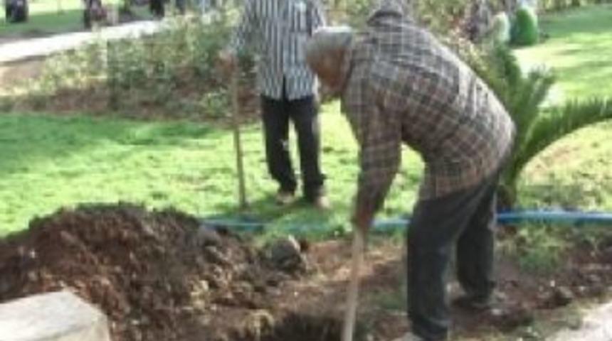 Balıklıg&ouml;l Platosu aydınlanıyor