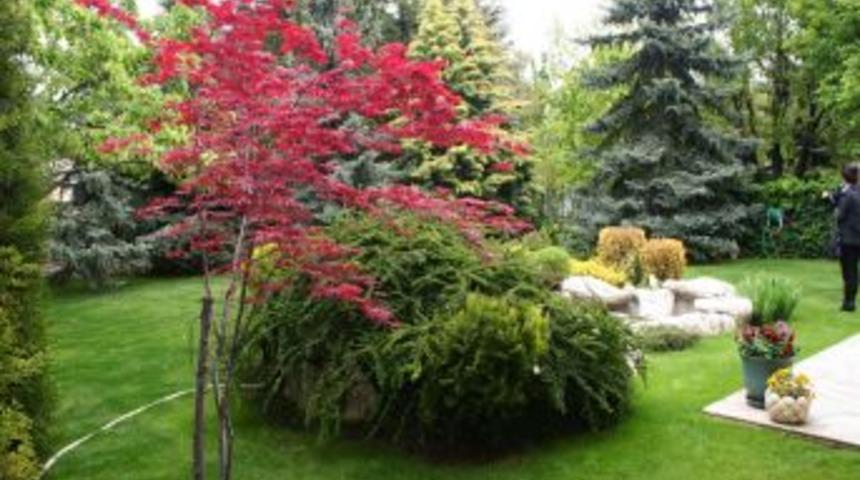 &Ccedil;ankaya'da en g&uuml;zel bah&ccedil;e ve balkonlar &ouml;d&uuml;llendirilecek