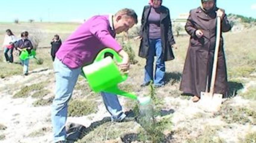 K&ouml;y Mezarlığına Fidan Dikildi