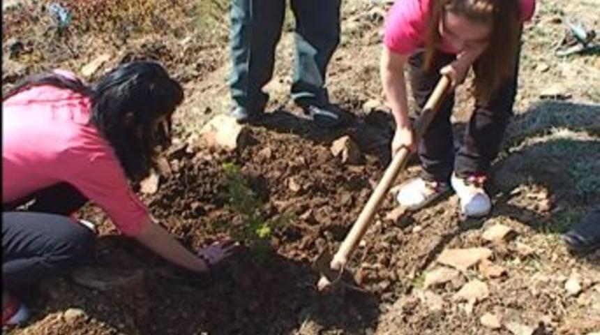 Dost Kalpler Derneği Fidan Dikti