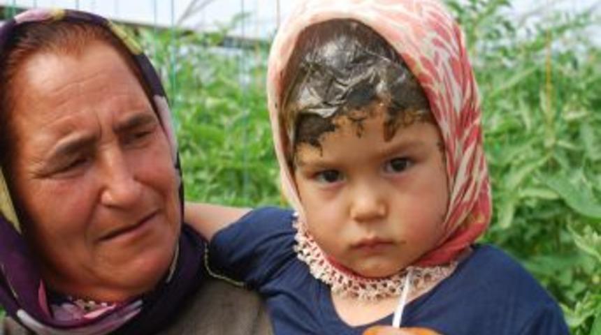 Silifkeli Domates &Uuml;reticileri Bozuk Fide Mağduru