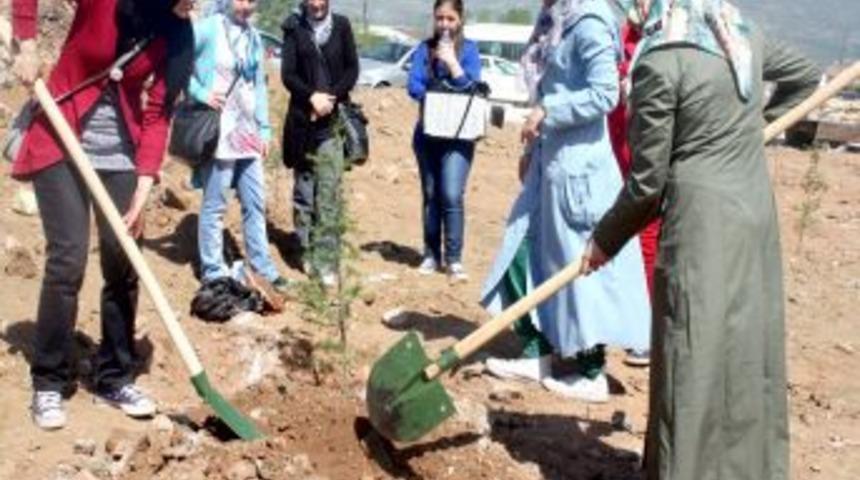 Tokatlı kadınlar 2 bin fidanı toprakla buluşturdu