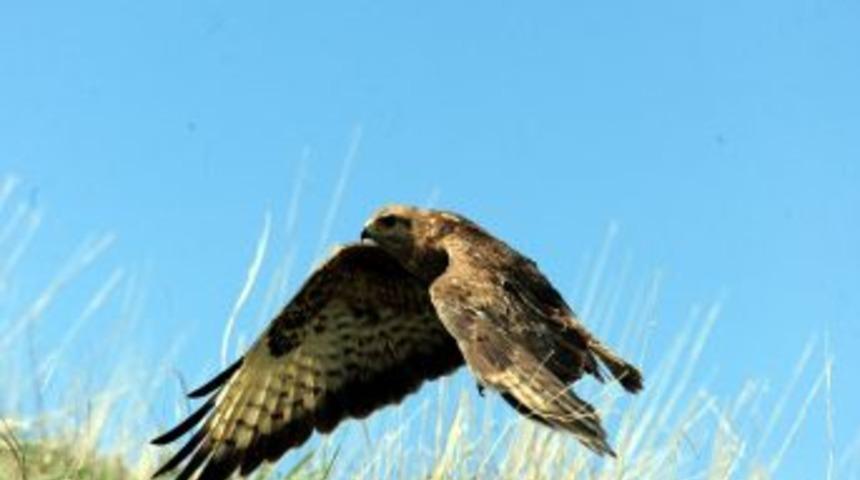 Bu kez &ouml;zg&uuml;rl&uuml;ğe kanat a&ccedil;tılar