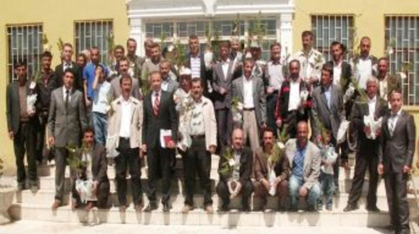 Velilere, &ccedil;am ağacı s&uuml;rprizi