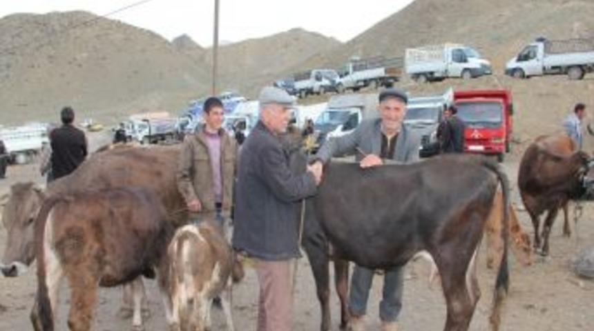 Hayvan &Uuml;reticileri Zor Durumda