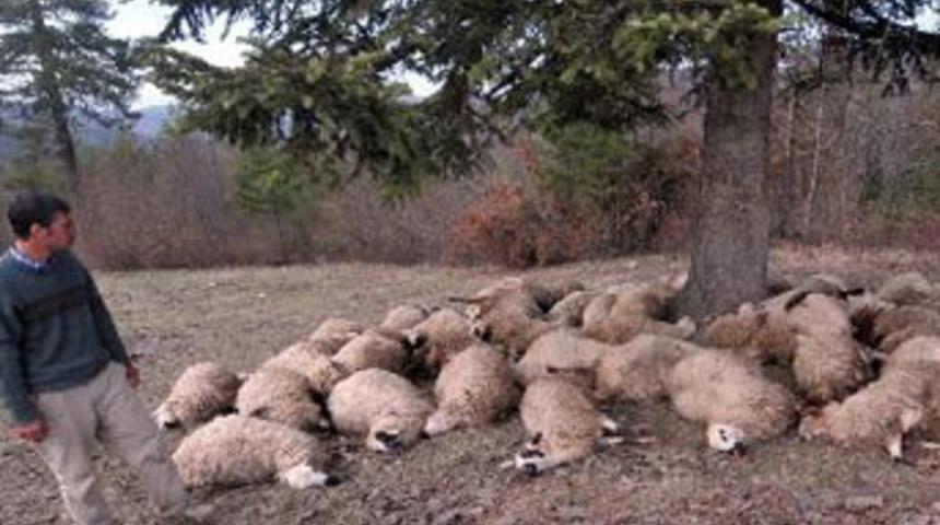 Kardeşler &ouml;l&uuml;m&uuml;n eşiğinden d&ouml;nd&uuml;