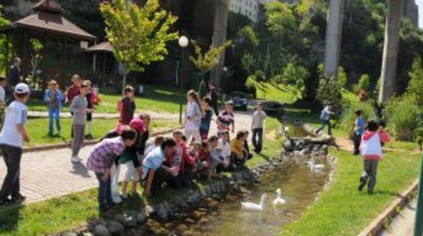 Zağnos Cıvıl Cıvıl