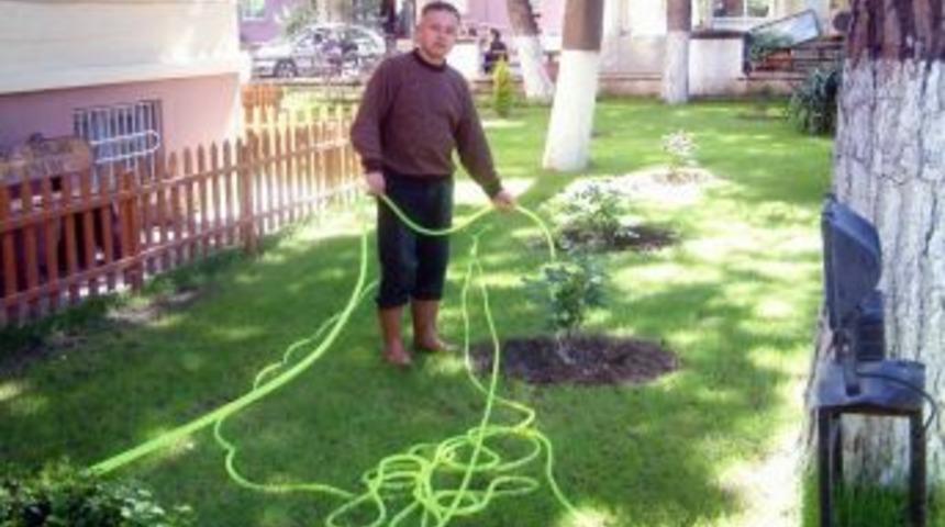 Burhaniye'de Hükümet Konağı Bahçesi Yeşillendirildi