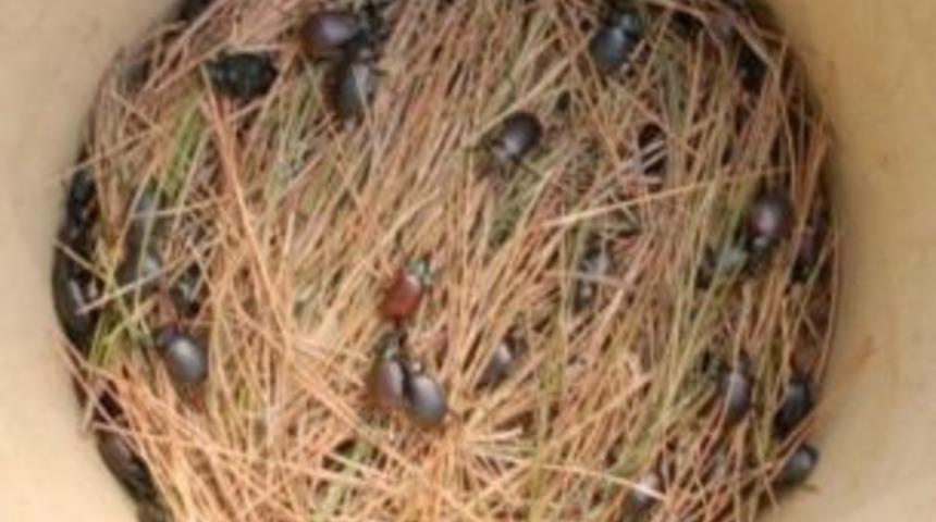 Terminat&ouml;rler g&ouml;rev başında