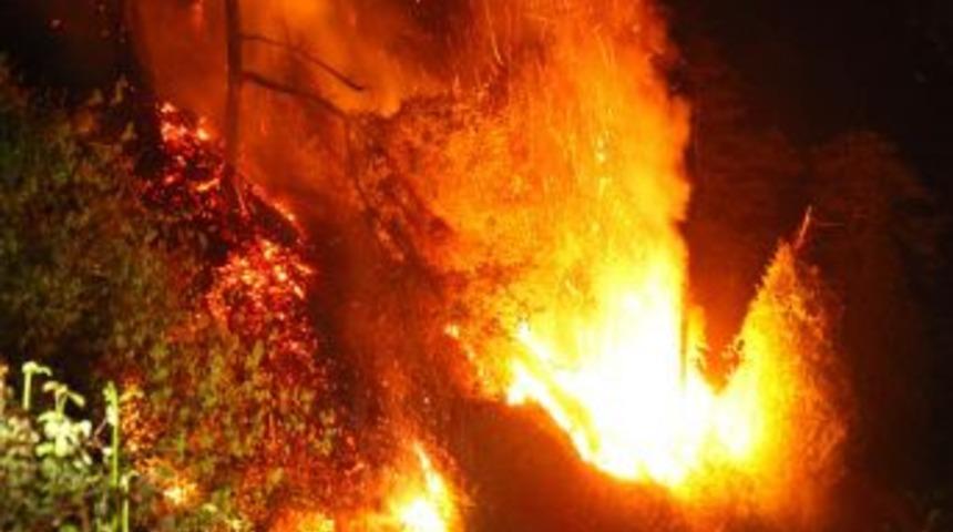 &Ouml;rt&uuml; Yangını