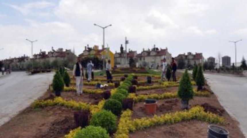Kastamonu Belediyesi'nin Ağa&ccedil;landırma &Ccedil;alışmaları Devam Ediyor