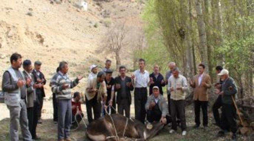 Erzurum'da K&ouml;yl&uuml; Sakinleri Yağmur Duasına &Ccedil;ıktı