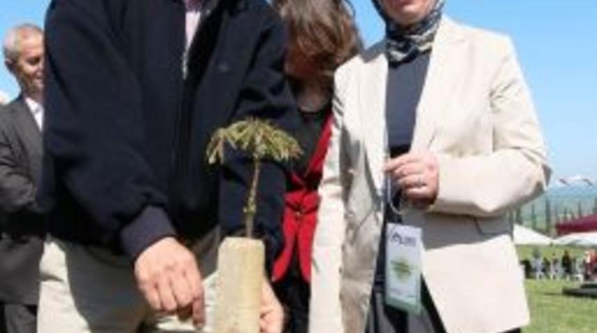 Gebze Cevizle Nefes Alacak