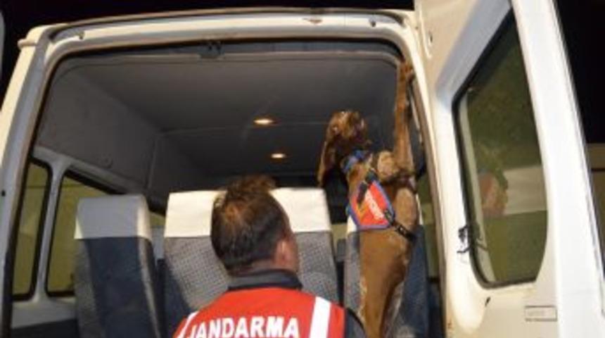 Başkale'de 48 Kg Esrar Ele Ge&ccedil;irildi