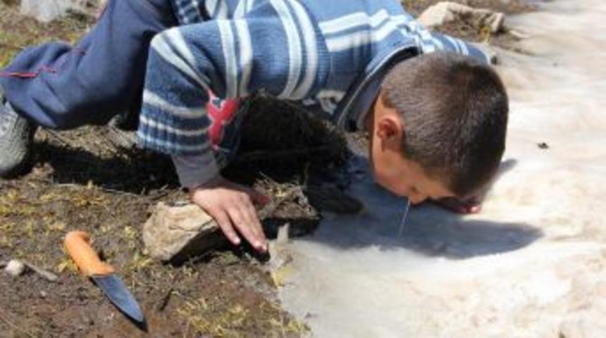 &Ccedil;ocukların Ekmek Parası M&uuml;cadeleleri