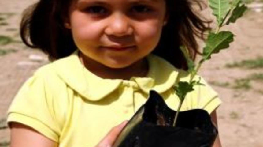 Eskişehir'de Anaokulu &Ouml;ğrencileri Fidan Dikti