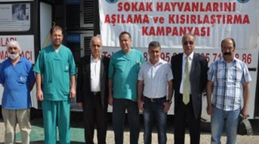 Batman Belediyesi bu yıl 300 sokak hayvanını aşıladı