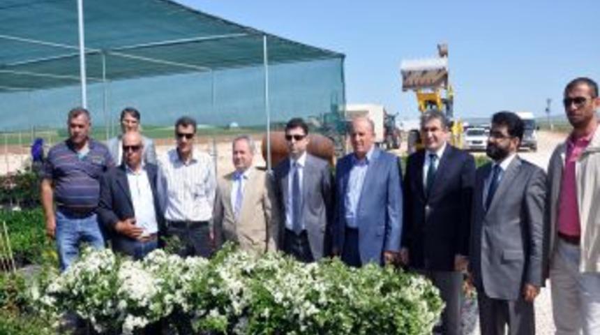 T&uuml;rkiye'nin ilk sera meslek okulu Nusaybin'de kuruluyor