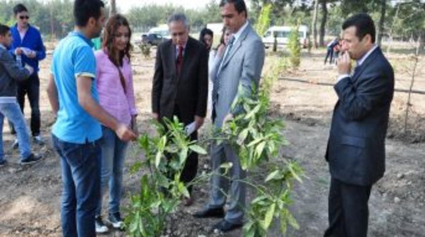 Orman fak&uuml;ltesi &ouml;ğrencileri, D&ouml;rtyol Orman İşletme M&uuml;d&uuml;rl&uuml;ğ&uuml;'n&uuml; ziyaret etti