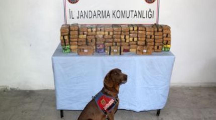 Van'da uyuşturucu operasyonu