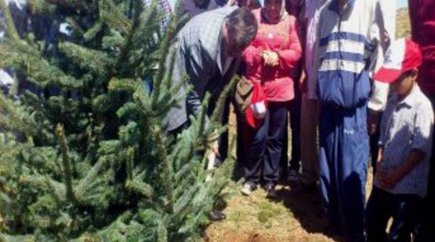 Konya'da Gen&ccedil;ler Binlerce Fidanı Toprakla Buluşturdu