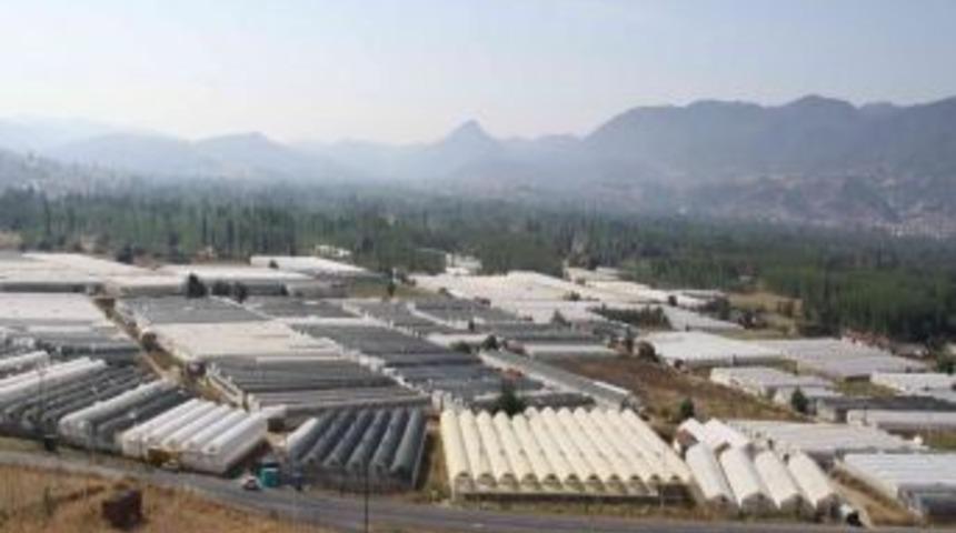 Sulama Suyu Sorunu Simavlı Seracıyı &Uuml;retimden Soğuttu